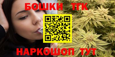 индика Краснознаменск
