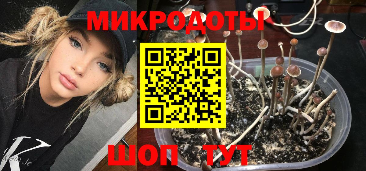 Псилоцибиновые грибы мухоморы  Вход с VPN  Ижевск 
