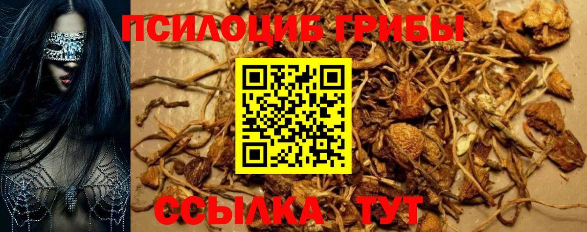 Галлюциногенные грибы мицелий Ижевск